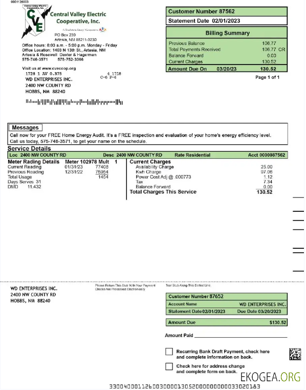 USA CENTRAL VALLEY ELECTRIC utility bill Word and PDF template